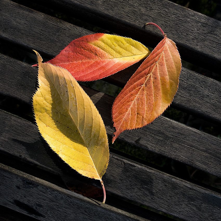 4711 Tölleturm_0007 als Smartobjekt-1 Kopie.JPG